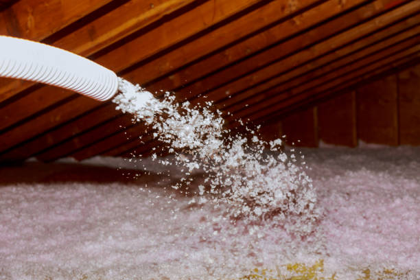 Best Specialized Insulation Services in Hinsdale, IL
