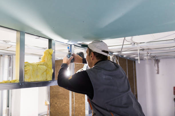 Professional Insulation Contractor in Hinsdale, IL