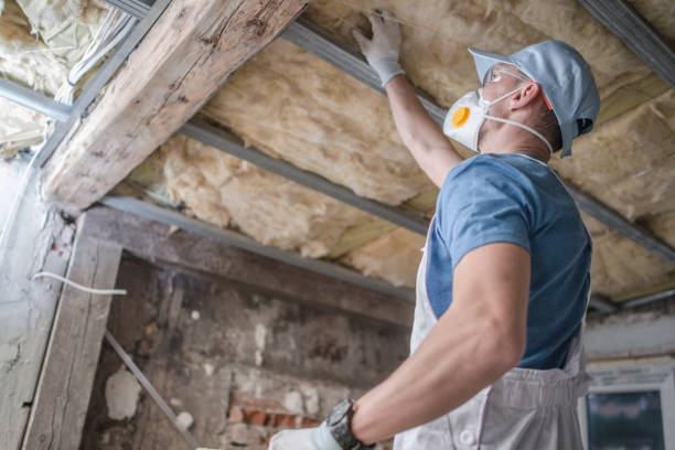 Best Cellulose Insulation in Hinsdale, IL