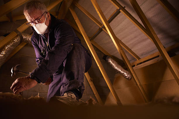 Best Geographic-Specific Insulation Services in Hinsdale, IL